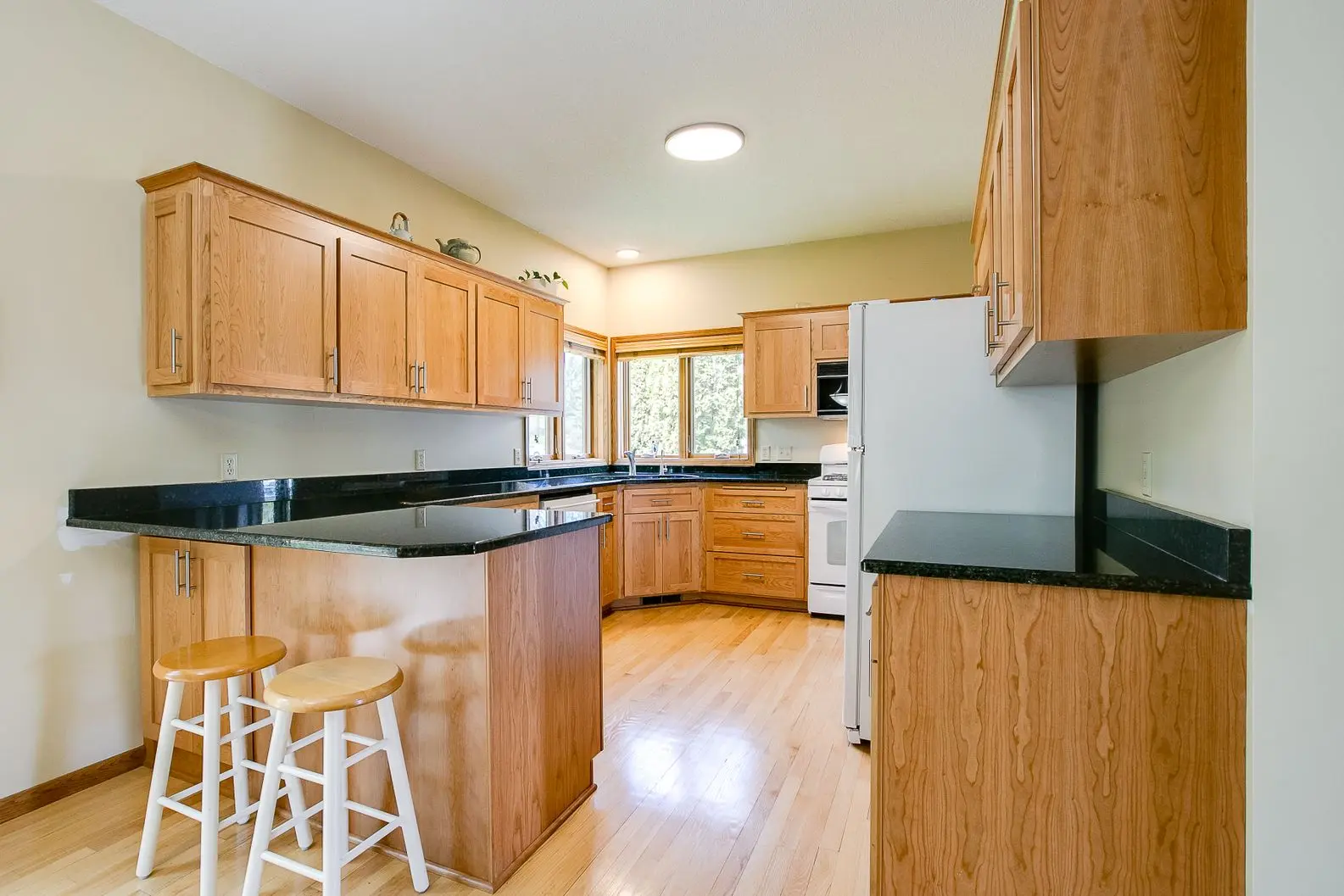 1486-Palomino-Tr-After-002