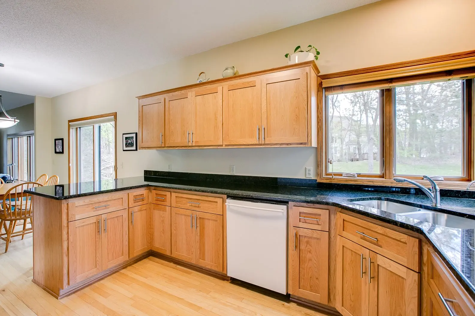 1486-Palomino-Tr-After-004