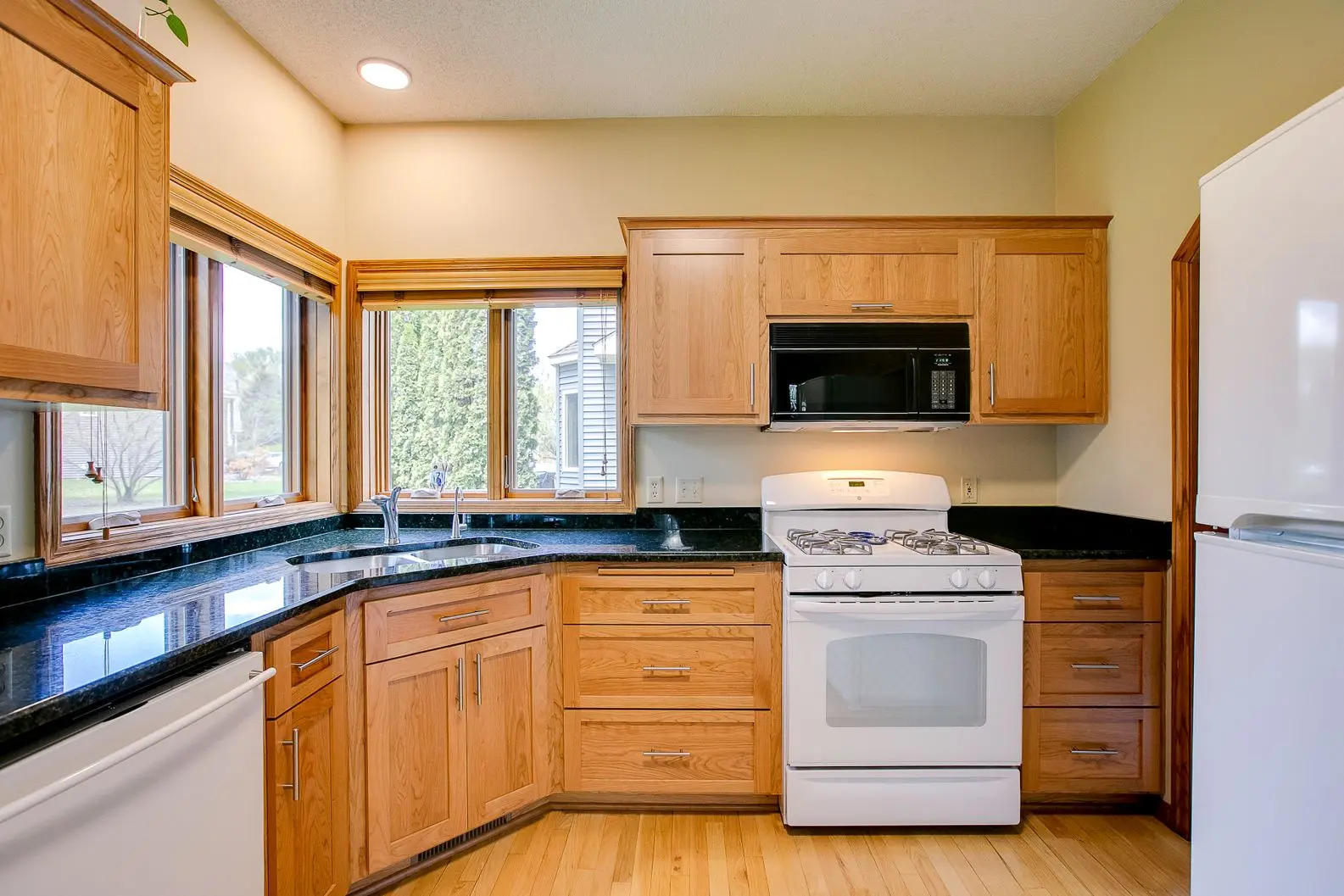 1486-Palomino-Tr-After-006