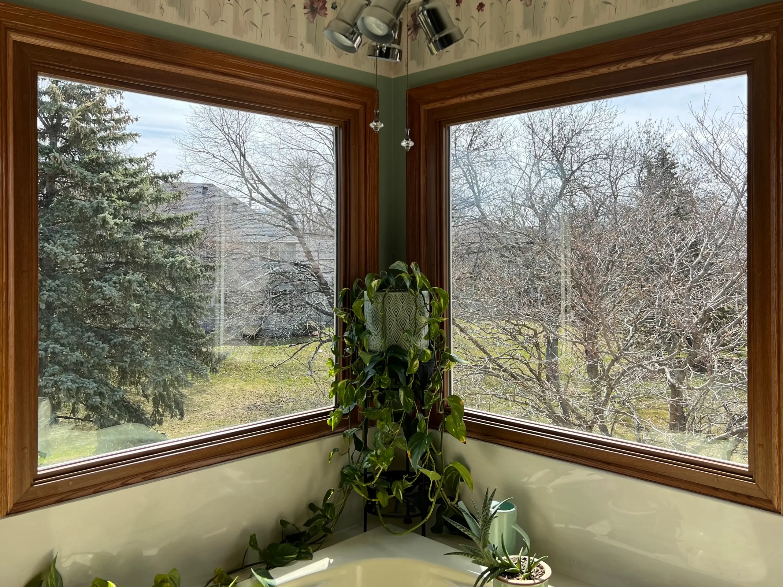 IMG_1186-scaled Corner living room window with wood trim and scenic outdoor view